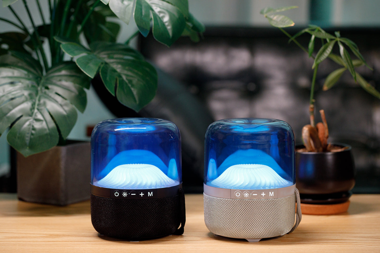 Studio Bluetooth 5.1 Speaker